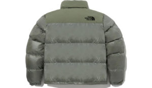 Ao The North Face Nuptse Onball 'Khaki' NJ3NP55E