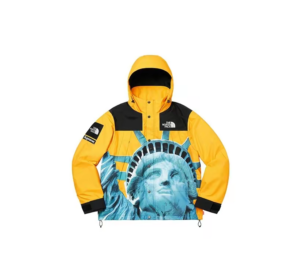 Ao Supreme x The North Face Jacket 'Yellow' SUP-FW19-907