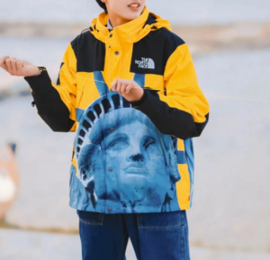 Ao Supreme x The North Face Jacket 'Yellow' SUP-FW19-907