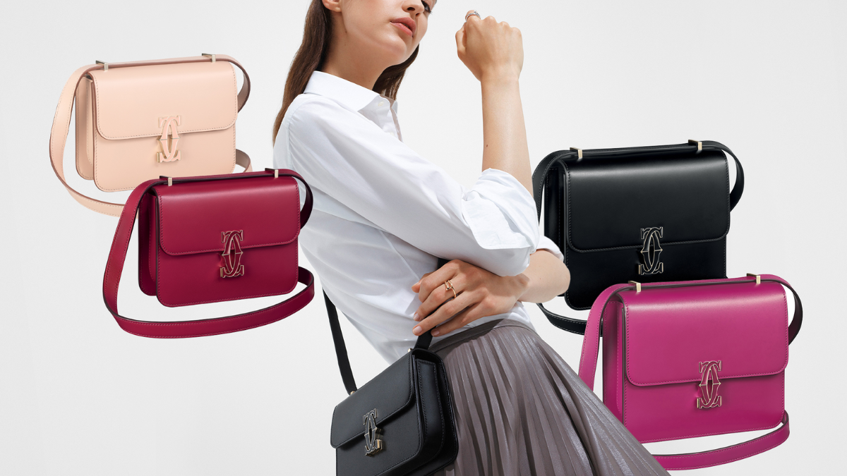 Hinh anh 8: Nhung lua chon hop tui tien cho ban yeu thich Hermes Constance