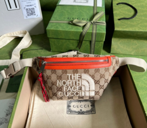 Tui Gucci x The North Face Belt Bag 'Beige Ebony' 650299-GY5UN-8895