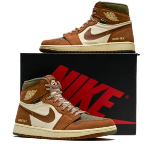 Giay Nike Air Jordan 1 Retro High 'Element Legend Coffee' DB2889-102