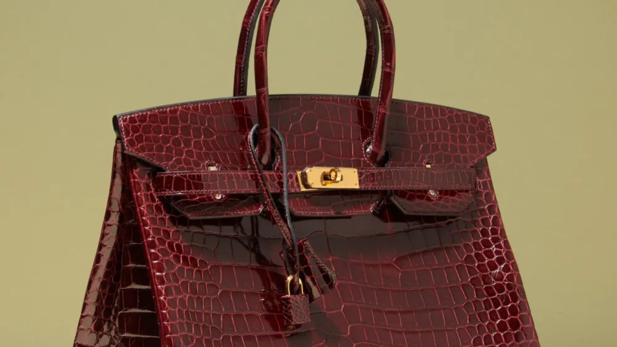 Hinh anh 1: Me tui Birkin? Day la nhung lua chon "binh dan" hon danh cho ban