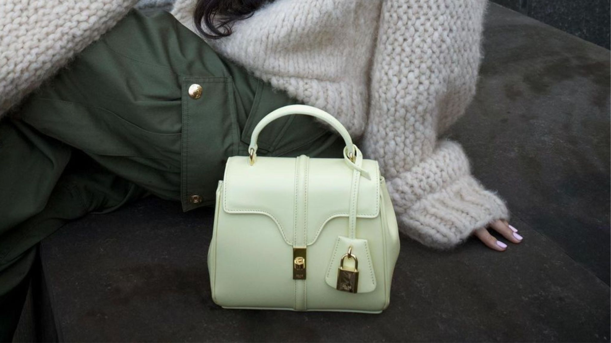 Hinh anh 6: Me tui Birkin? Day la nhung lua chon "binh dan" hon danh cho ban