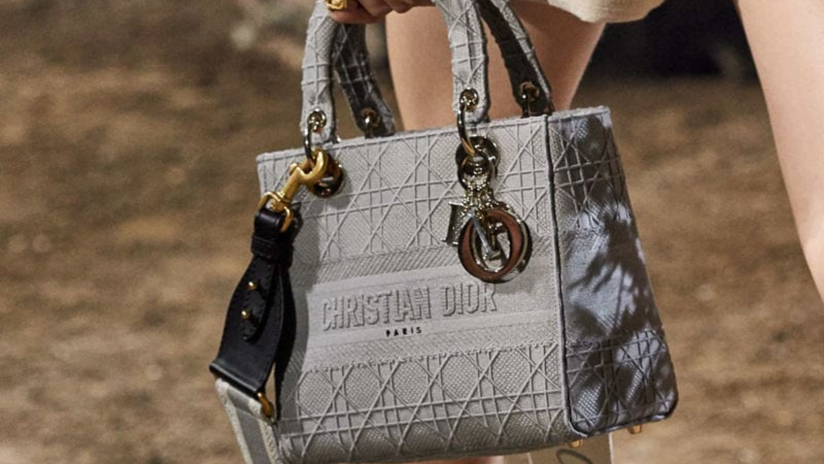 Hinh anh 2: 10 mau tui Dior co dien truong ton voi thoi gian
