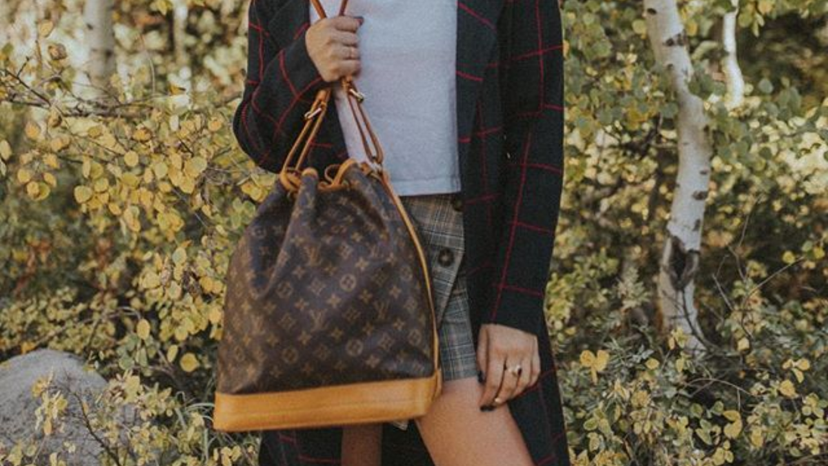 Hinh anh 6: 9 chiec tui Louis Vuitton tot nhat nen mua thay cho tui tote Neverfull