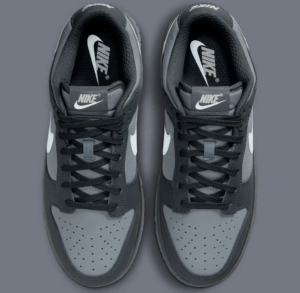 Giay Nike Dunk Low 'Anthracite' FV0384-001