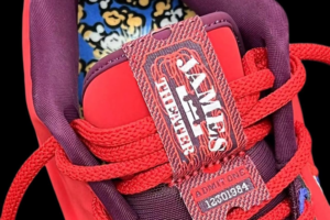 Giay Nike Lebron 21 GS 'James Theater' FN4305-600