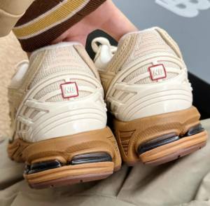 Giay New Balance 1906R x Randomevent 'Sweetness Of Kin' M1906RRE