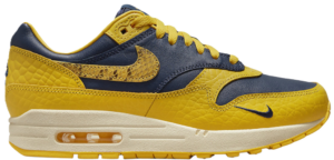 Giay Nike Air Max 1 CO.JP ‘Michigan’ FJ5479-410