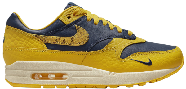 Giay Nike Air Max 1 CO.JP ‘Michigan’ FJ5479-410