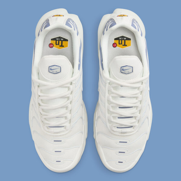 Giay Nike Air Max Plus 'Ashen Slate' DZ3671-104