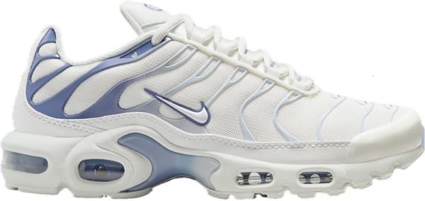 Giay Nike Air Max Plus 'Ashen Slate' DZ3671-104