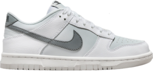 Giay Nike Dunk Low 'Reflective Swoosh' FV0365-100