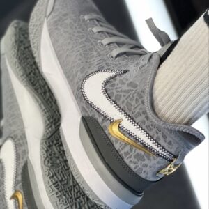 Giay Nike LeBron NXXT Gen 'Grey' DR8784-004