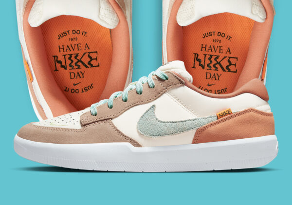 Giay Nike SB Force 58 'Have A Nike Day' FN8888-131