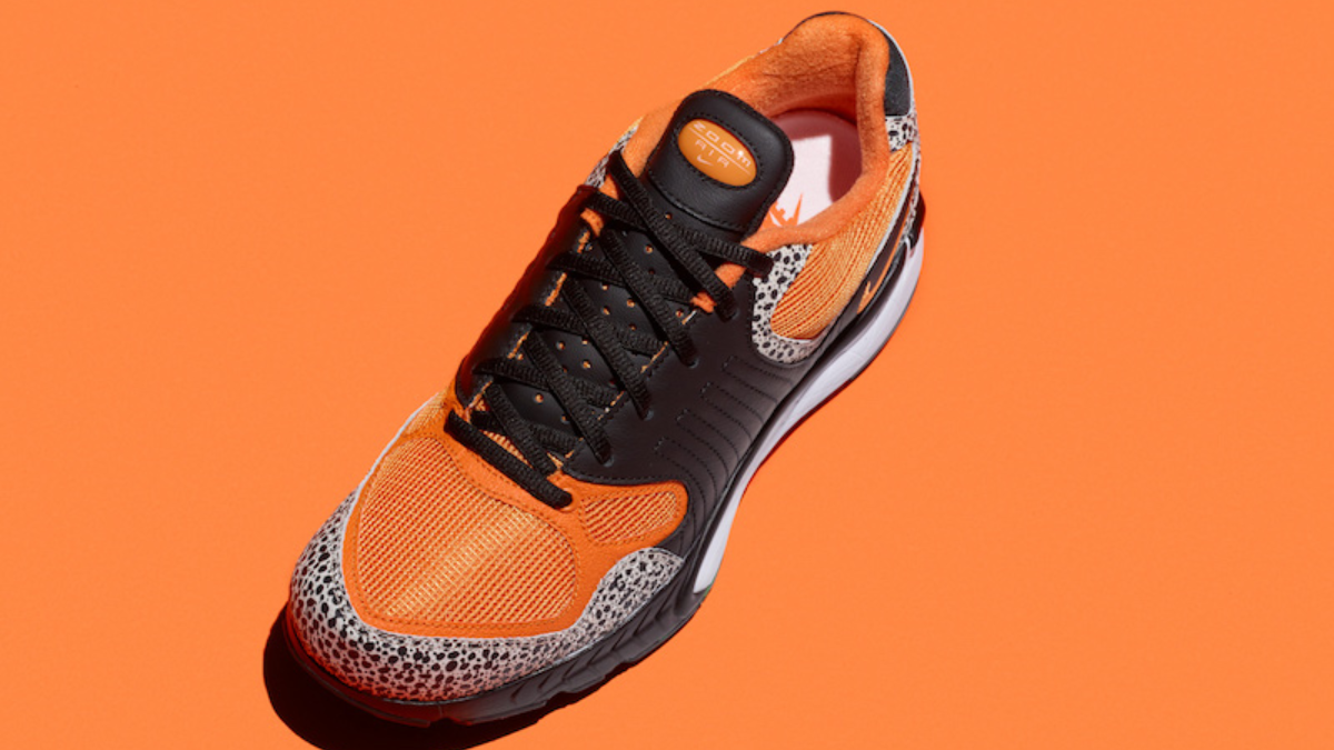 Hinh anh 8: 'Safari'- Kham pha chang duong phat trien cua nhung "vet dom"