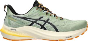 Giay Asics GT 2000 12 TR 'Nature Bathing' 1011B775-250
