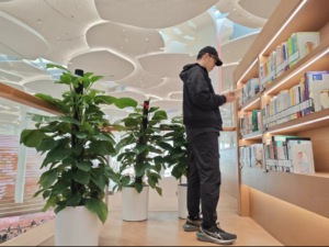 Giay Asics Novablast 4 Platinum 'Black' 1011B924-001