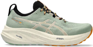 Giay Asics Gel-Nimbus 26 TR 1011B849-250
