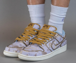 Giay Nike Dunk Low Premium SB 'City of Style Pack' FN5880-001