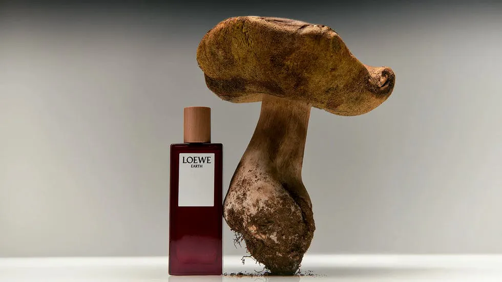 Mê mẩn trước Top 4 chai nước hoa lấy cảm hứng từ vườn rau củ Hinh anh 5: Me man truoc Top 4 chai nuoc hoa lay cam hung tu vuon rau cu