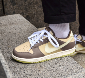 Giay Nike Dunk Low Retro 'Mocha Brown' FB4960-210