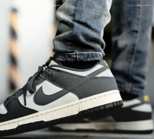 Giay Nike Dunk Low Next Nature 'Iron Grey' FZ4621-001