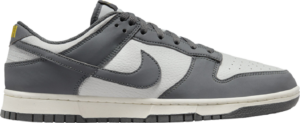 Giay Nike Dunk Low Next Nature 'Iron Grey' FZ4621-001