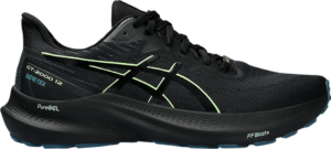 Giay Asics GT 2000 GORE-TEX 'Illuminate' 1011B687-001