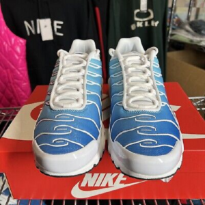 Giay Nike Air Max Plus 'Sky Blue' 852630-411