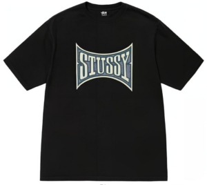 Ao Stussy Champion Pigment Dyed Tee 'Black'