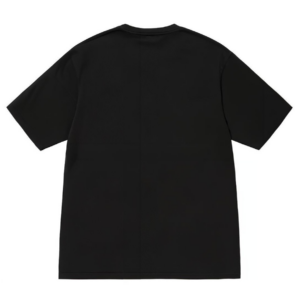 Ao Stussy Champion Pigment Dyed Tee 'Black'