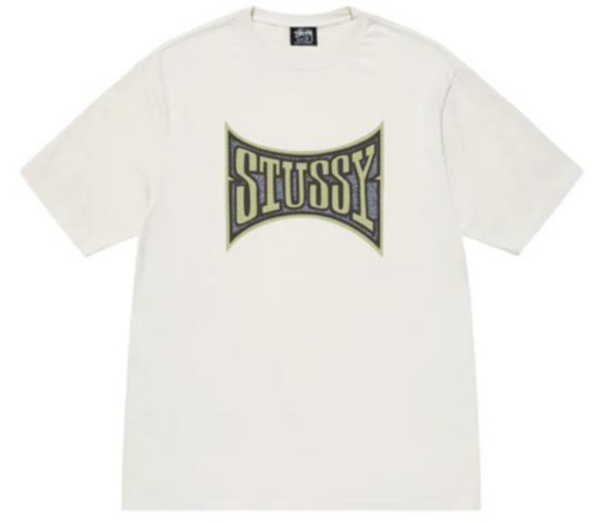 Ao Stussy Champion Pigment Dyed Tee 'White'