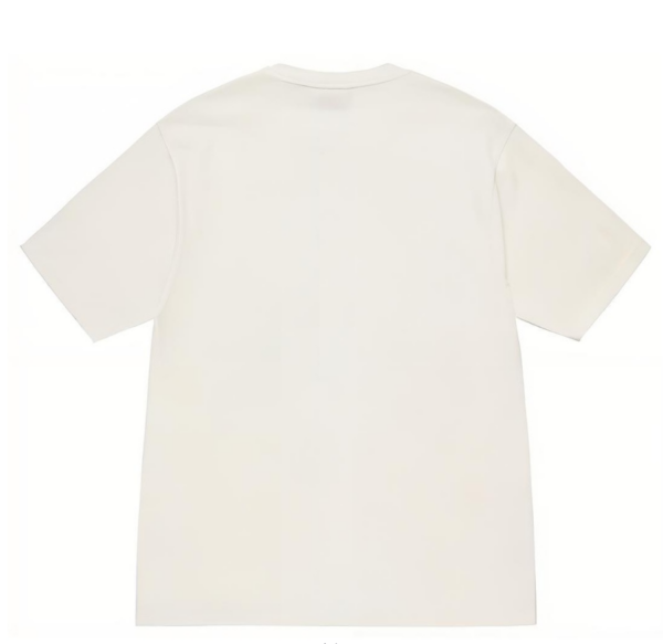 Ao Stussy Champion Pigment Dyed Tee 'White'