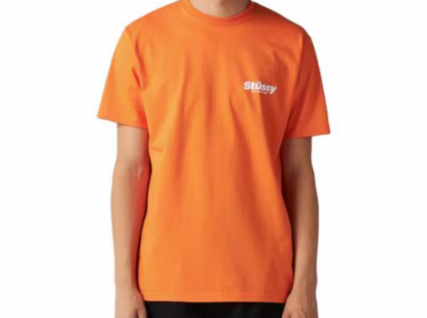 Ao Stussy Rabbit Hole Tee 'Coral'