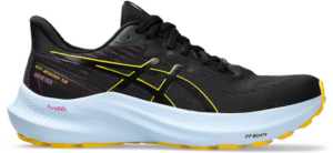 Giay Asics GT 2000 12 GTX 'Black' 1012B507-001