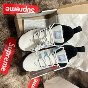 Giay Nike Darwin Low SB x Supreme 'Sail' FQ3000-100