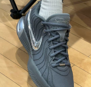 Giay Nike LeBron 21 'Cool Grey' HF5353-001