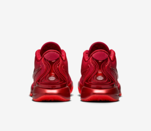 Giay Nike LeBron 21 'James Gang' HF5951-600