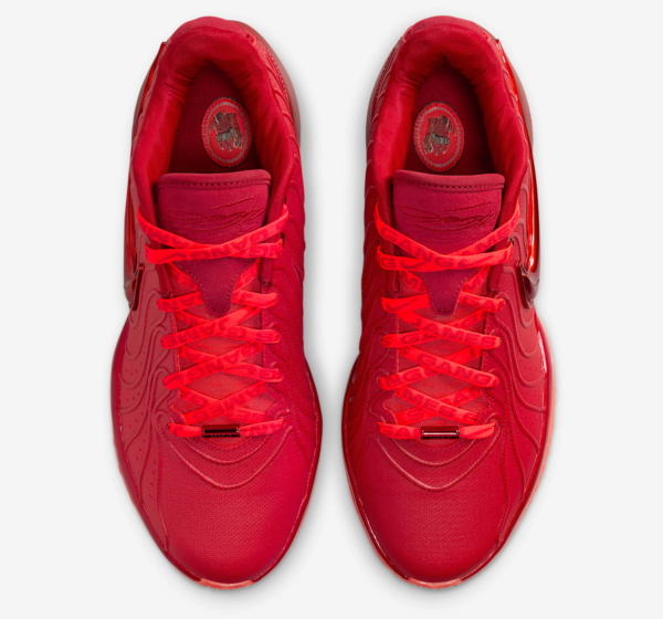 Giay Nike LeBron 21 'James Gang' HF5951-600