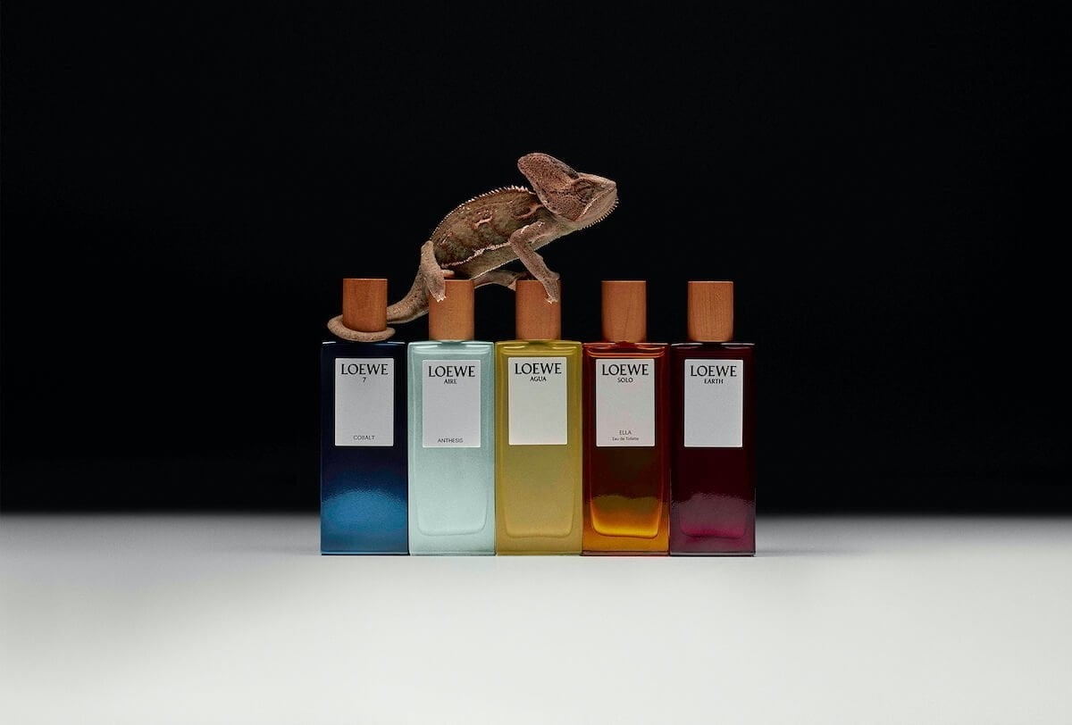 Nước Hoa Loewe: Hơn Cả Một Mùi Hương Hinh anh 9: Nuoc Hoa Loewe: Hon Ca Mot Mui Huong