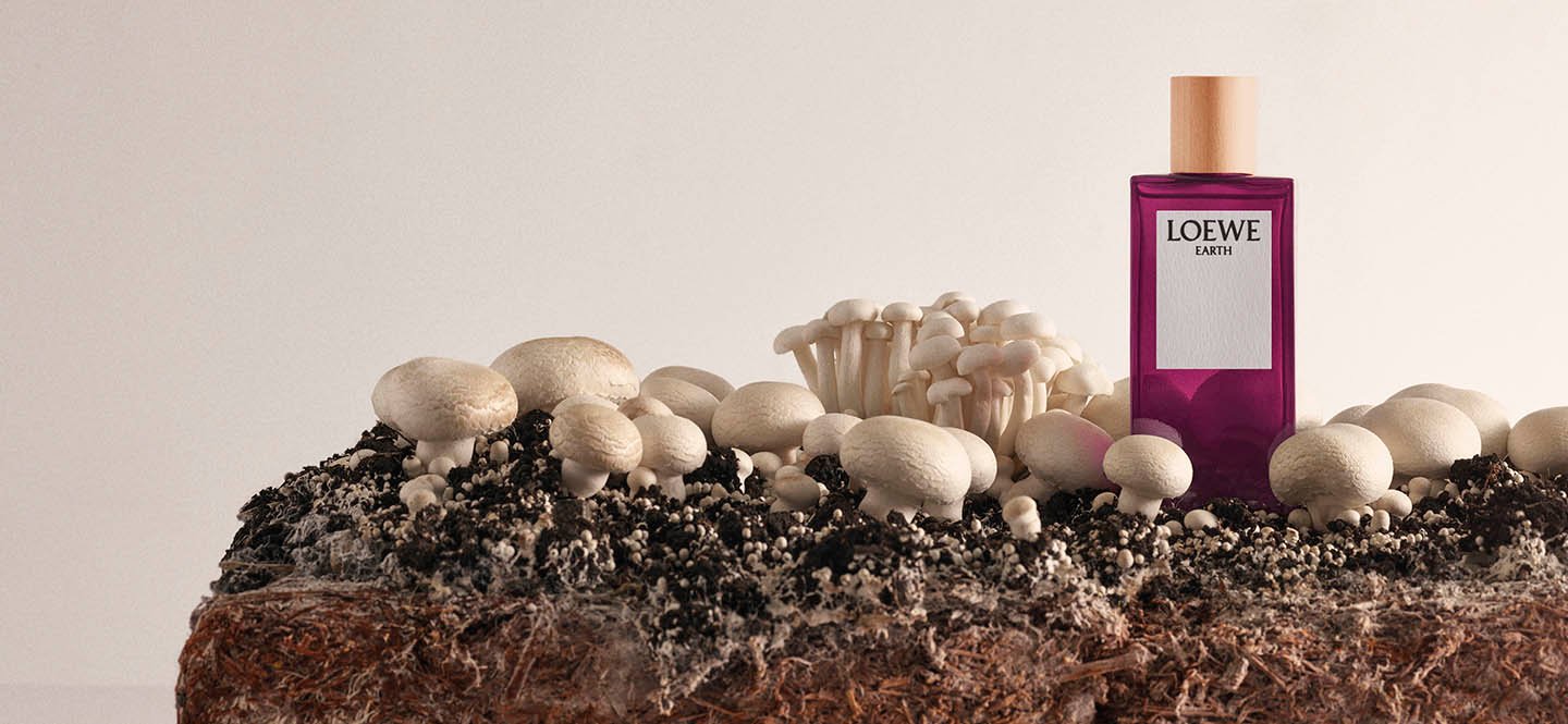 Loewe Earth - sự kết hợp tinh tế của thiên nhiên và nghệ thuật nước hoa Hinh anh 4: Loewe Earth - su ket hop tinh te cua thien nhien va nghe thuat nuoc hoa