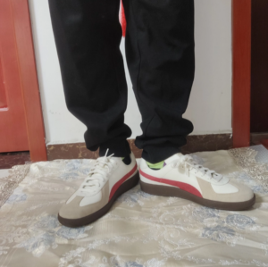 Giay Puma Army Trainer 'Warm Astro Red' 386607-06