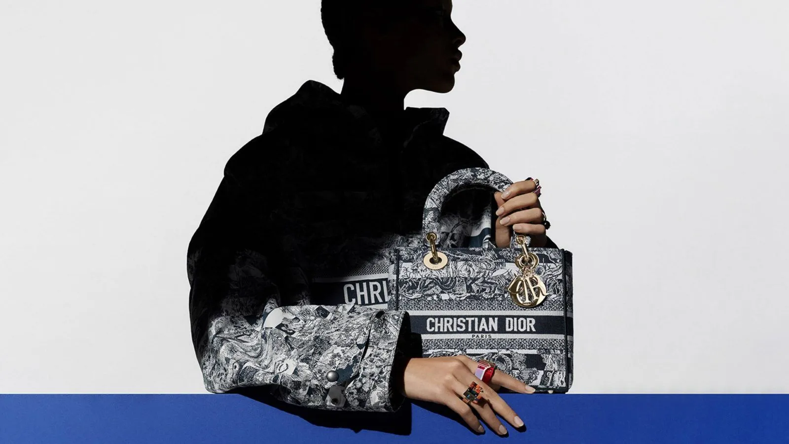 Top 10 mẫu túi Dior cổ điển trường tồn với thời gian Hinh anh 1: Top 10 mau tui Dior co dien truong ton voi thoi gian