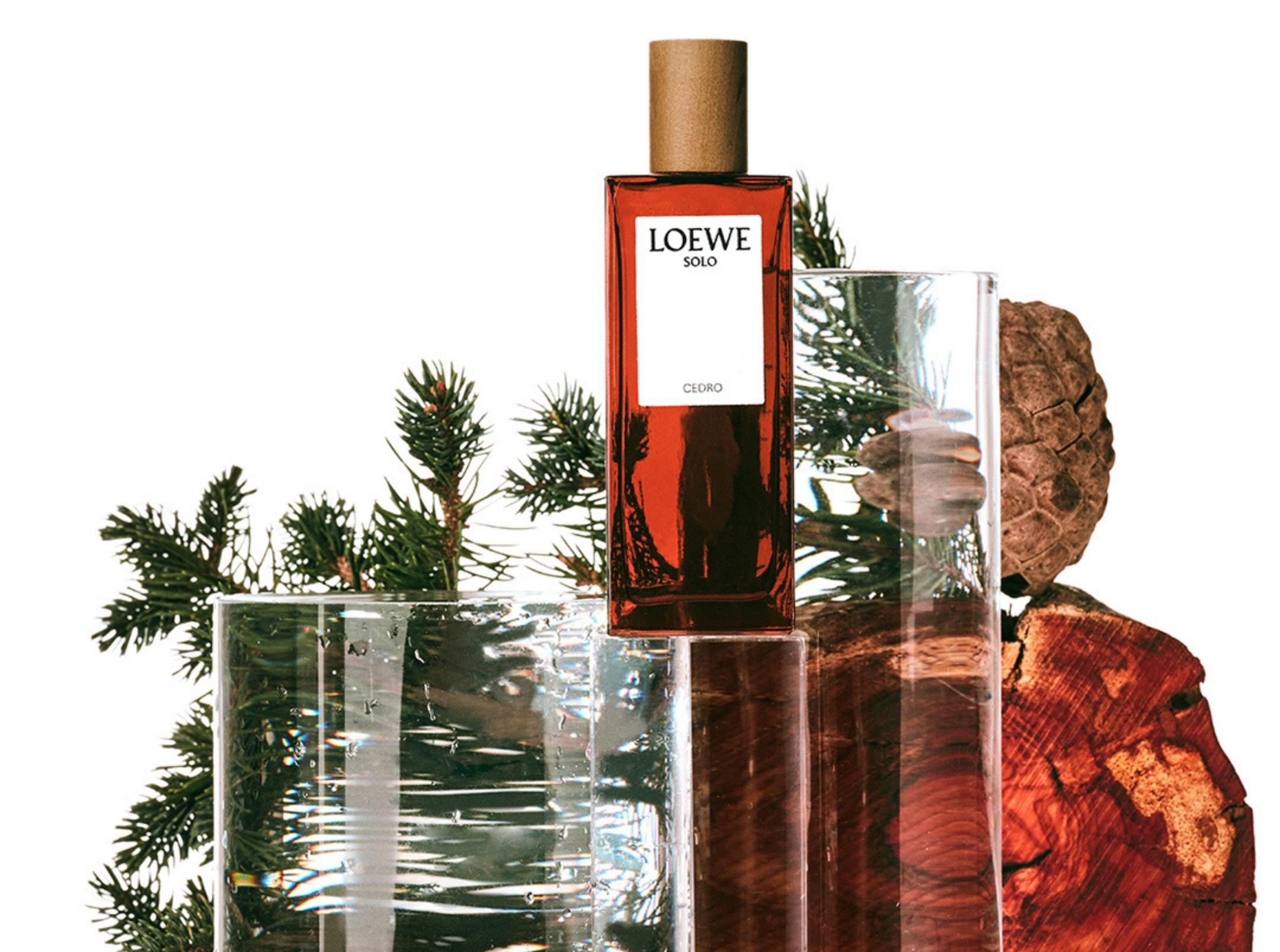 Nước Hoa Loewe: Hơn Cả Một Mùi Hương Hinh anh 8: Nuoc Hoa Loewe: Hon Ca Mot Mui Huong