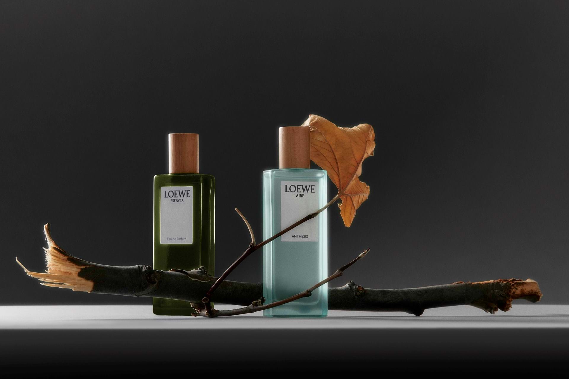 Nước Hoa Loewe: Hơn Cả Một Mùi Hương Hinh anh 7: Nuoc Hoa Loewe: Hon Ca Mot Mui Huong