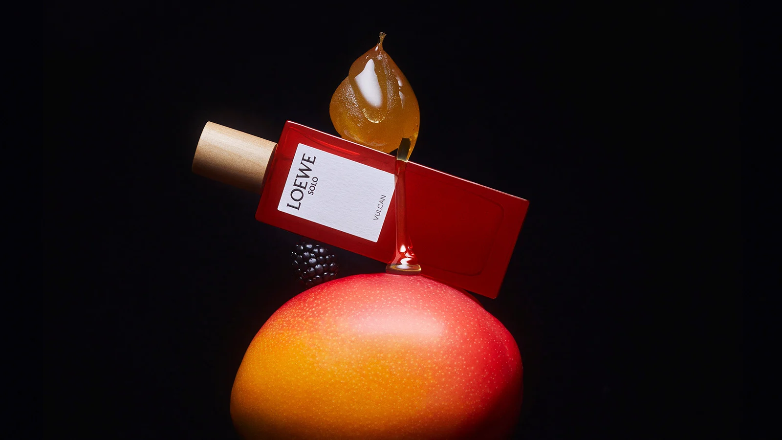 Hinh anh 7: Moi ra mat 2024: Bo sung hoan hao cho tu nuoc hoa cua quy ong