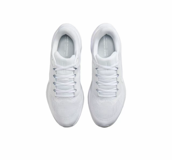 Giay Nike Air Zoom Pegasus 41 'Pure Platinum' FD2722-102