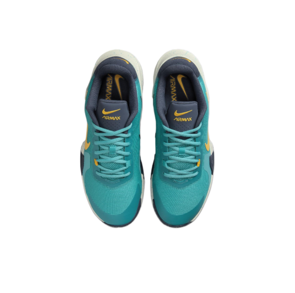 Giay Nike Impact 4 Basketball DM1124-302